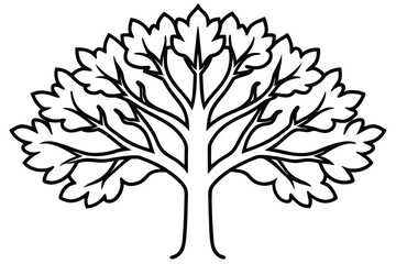 Obraz premium Clean Symmetrical Oak Tree Line Art Drawing for Contemporary Graphic Assets