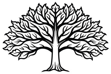 Obraz premium Artistic Symmetrical Oak Tree Line Graphic for Modern Product Packaging