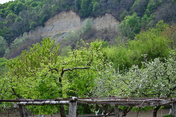 Fototapete bei efototapeten.de bestellen   