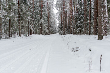 snow covered road