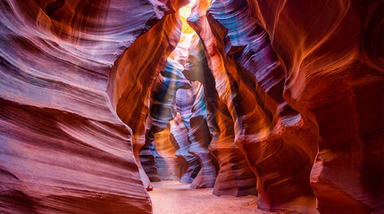 Narrow Canyon Trail Bathed in Warm Light