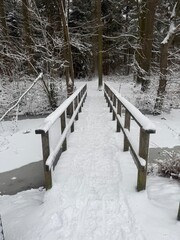 A narrow wooden footbridge leading into a thick, snow-covered forest