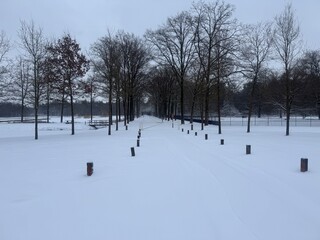 January 2026 - Winter season, snow in the Netherlands - very rarely moment. White forest, snowy park