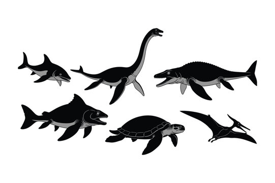 Ancient sea creatures and dinosaurs: shark, plesiosaur, mosasaur, turtle