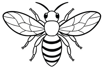 Classic Black and White Line Art Honeybee, Traditional Insect Drawing on a White Canvas © Pinak