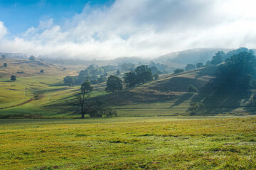 Landschaft in Siebenb&uuml;rgen im Nebel in der N&auml;he von Sch&auml;&szlig;burg in Rum&auml;nien - Landscape in Transylvania near Sighisoara in Romania