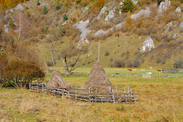 Fundatura Ponorului am Via Transilvanica Wanderweg in Siebenb&uuml;rgen, Rum&auml;nien - Fundatura Ponorului on Via Transilvanica hiking trail, Romania