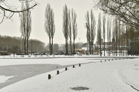 Peupliers bordant l'&eacute;tang principal sous la neige et la glace au parc de la Dodaine &agrave; Nivelles (Brabant Wallon)