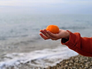 orange in the hand