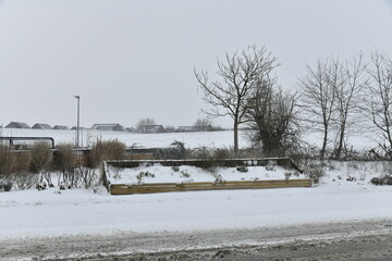 Parterre de fleurs sous la neige &agrave; &Eacute;caussinnes d'Enghien (Soignies)