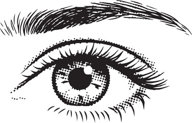 Close-up of human eye with detailed eyelashes and eyebrow in black and white