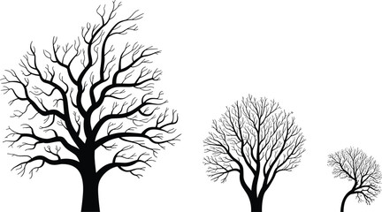 Silhouette bare trees illustration in minimalist style showing growth stages lifecycle black and white nature design element for environmental awareness sustainable development forestry education bota