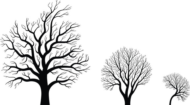 Silhouette bare trees illustration in minimalist style showing growth stages lifecycle black and white nature design element for environmental awareness sustainable development forestry education bota