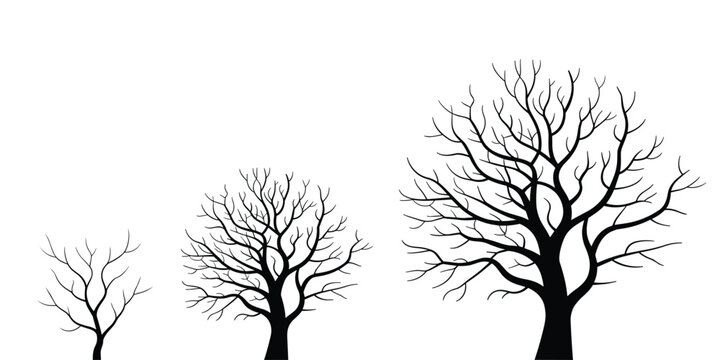 Black bare trees silhouettes showing growth phases from sapling to maturity conceptual illustration for environmental awareness nature conservation forestry lifecycle education and sustainable develop - Powered by Adobe