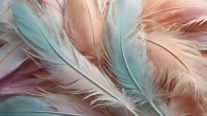 colorful feathers background