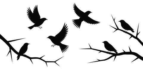 Obraz premium Elegant flying birds silhouette vector art illustration of songbirds in flight and perched on branches with thorns artistic wildlife nature design element for creative projects and graphic design blac