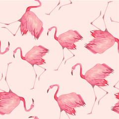 Animal seamless pattern with flamingo. Vector illustration.