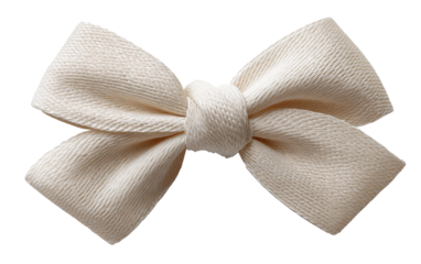 Decorative ribbon bow knot captured in macro view highlighting delicate craftsmanship and stylish design isolated on transparent background PNG