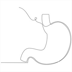 Continuous line art of human digestive system stomach anatomy illustration