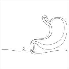 Minimal one line human stomach medical gastrointestinal line art vector
