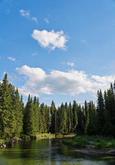 The shore along an Alberta river.