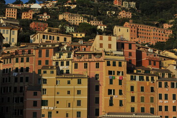 Colorful buildings of the town of Camogli are densely packed on a hillside near the sea, Mediterranean landscape. Italy