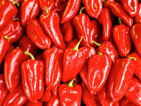 Red paprika
