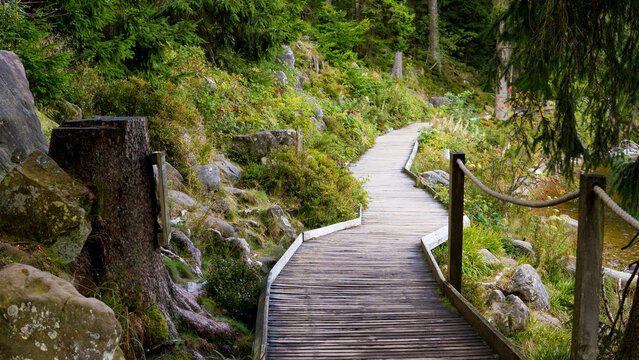 Wooden path made of planks in a natural landscape. Boardwalk road in nature, outdoor scenery.
