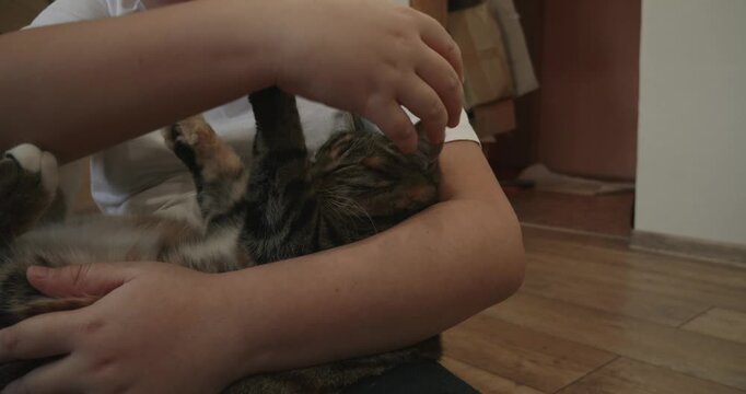 Adorable domestic tabby cat purring contentedly and enjoying being petted and hugged while resting in the arms of a loving child in a cozy home environment, showcasing a pure bond.