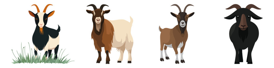 Fototapeta premium goat animal mammal livestock domestic farm Flat Vector Illustration on Transparent Background