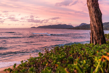 Tranquil tropical beach at sunset with pink and purple sky, ocean waves, and lush vegetation
