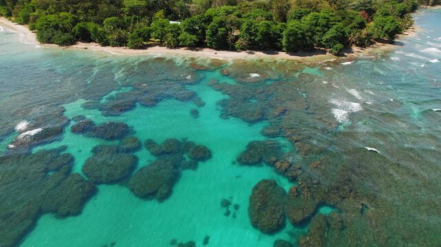 Clear turquoise water over coral formations on Caribbean coast by tropical beach in Costa Rica