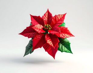 Vivid close-up of a poinsettia flower, red bracts and green leaves
