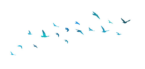 Flying birds blue silhouette flock. hand drawing. Not AI. Vector illustration