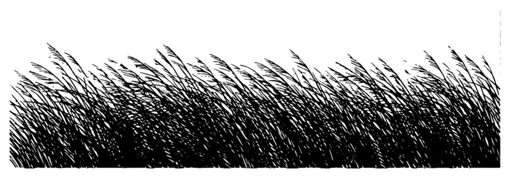Sketch of tall grass silhouette in a field blowing in the wind