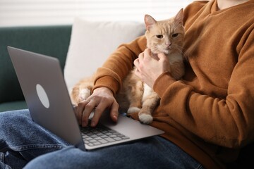 Man with his cute cat using laptop on sofa at home, closeup