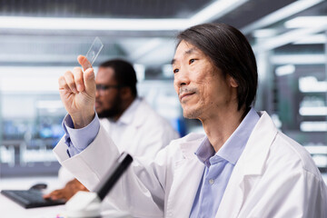 Scientist examines glass slide before placing it under microscope in laboratory to view cells. Microscopist checks sample slide before imaging process using optical device