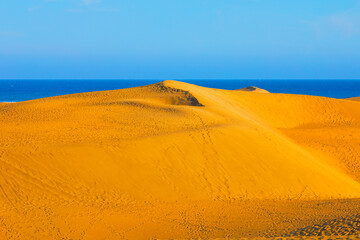 Golden sand dunes of Maspalomas in Gran Canaria meet blue Atlantic Ocean under clear sky. Unique natural reserve is a popular tourist destination, known for its constantly shifting landscape