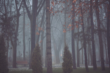 Fog covers the park, creating a mysterious atmosphere. Trees stand tall, and benches are visible....