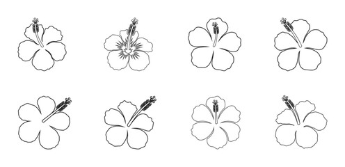 Minimalist Hibiscus Outline Blossom Vector Collection