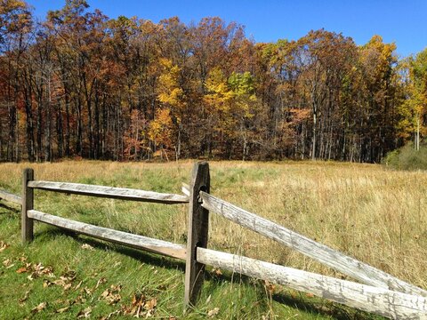 wooden fence in autumn - Powered by Adobe