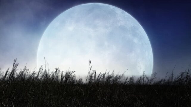 Full Blue Moon Grassy Field Silhouette 4K Loop features a field with blowing grass with a large full moon on the horizon with fog rolling across the screen in a loop.