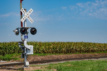 Obraz premium A railroad crossing sign stands next to a set of train tracks. A cornfield stretches into the distance under a blue sky. It is a sunny afternoon in the countryside.