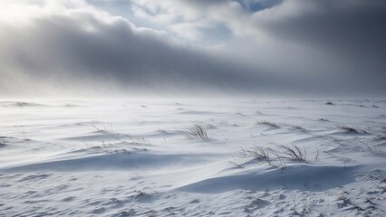 Snowy landscape and overcast sky