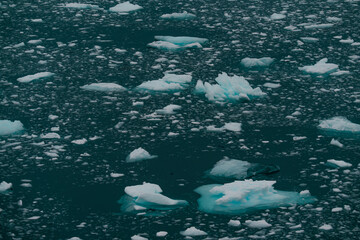 Abstract Nature Floating Icy Bits in Antarctica Ocean. Turquoise Waters and Icebergs Beautiful
