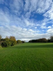 Fototapeta premium green grass cloudy sky