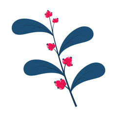 Red berries. Winter plant. Winter branches and leaves. Winter floral elements. Holiday decoration. Vector illustration