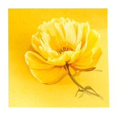 Bright yellow flower against a matching background, with detailed petals and a single stem