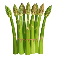 Bunch of verdant asparagus spears, tied with a delicate pink twine, on a stark white background