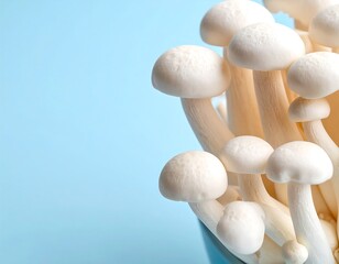 Bunch of white enoki mushrooms with delicate caps, set against a light blue background creating a clean, minimalist aesthetic